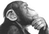 Choose best parental control monkeyLogo